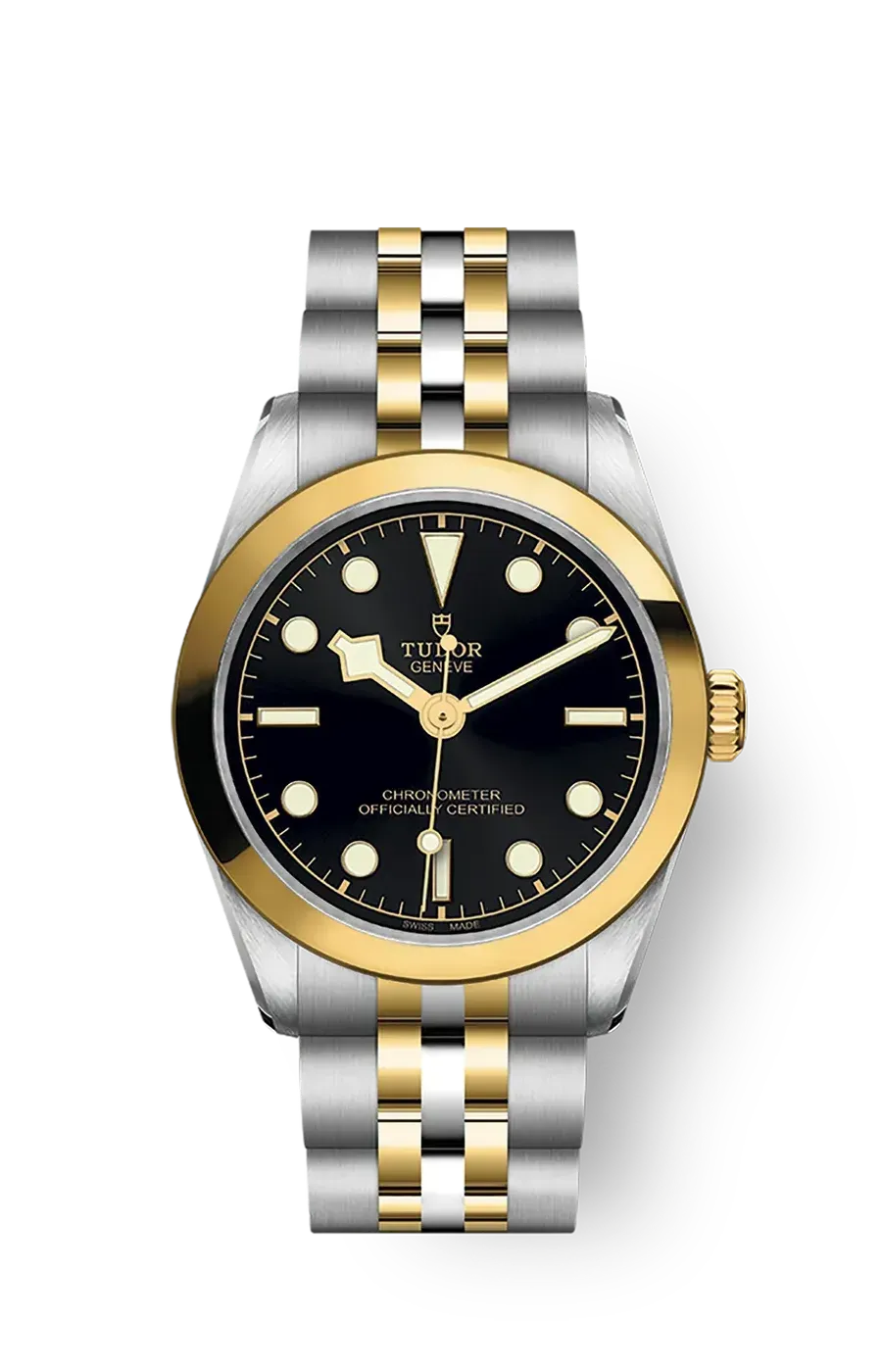 Tudor Black Bay 31 36 39 41 31mm m79603-0001