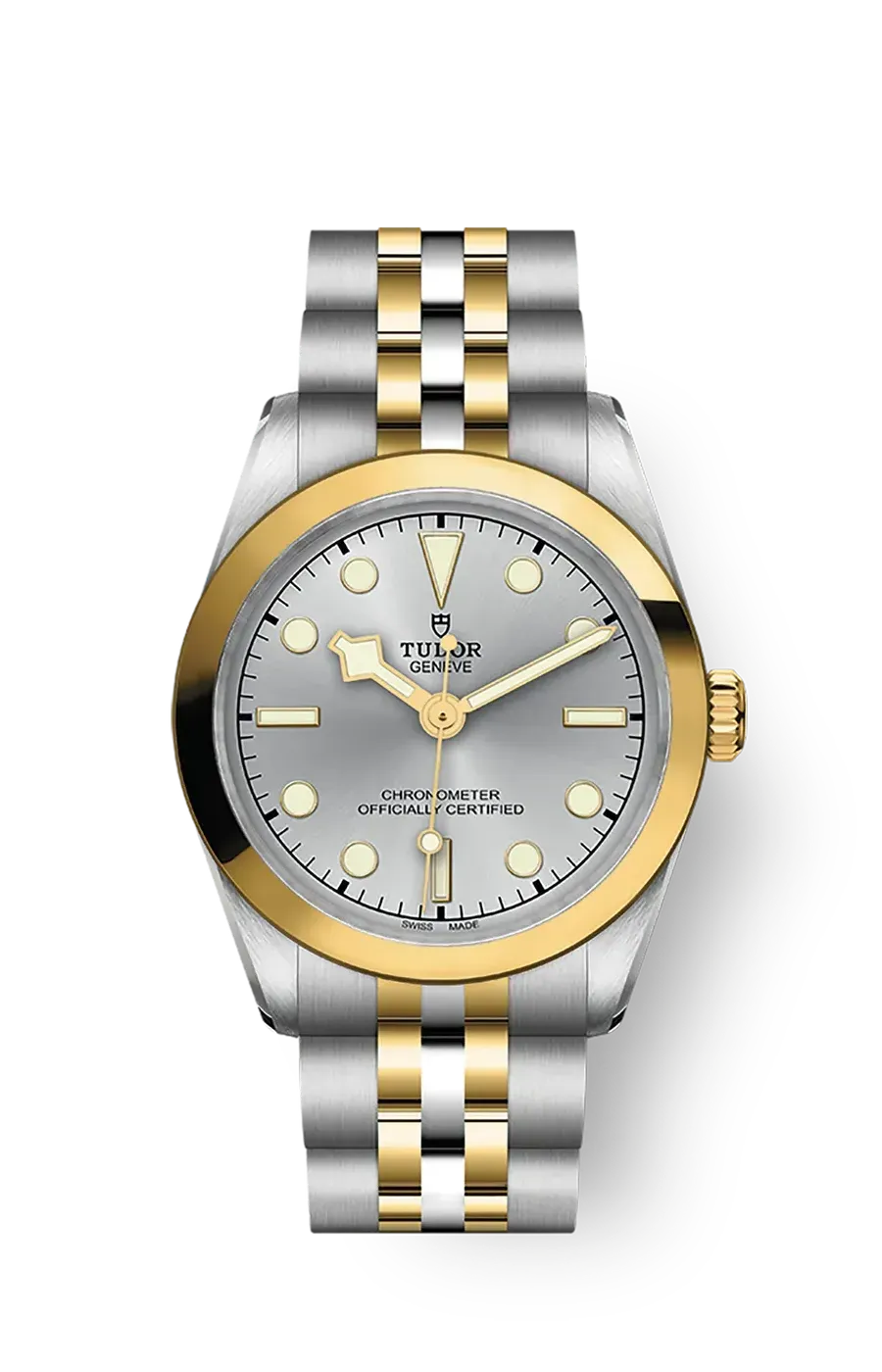 Tudor Black Bay 31 36 39 41 31mm m79603-0002