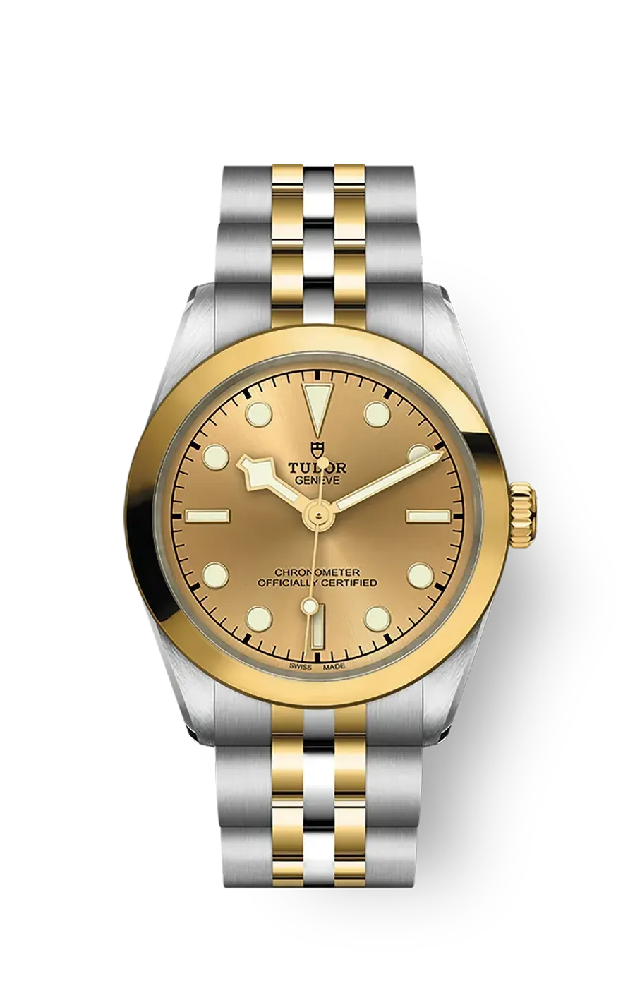 Tudor Black Bay 31 36 39 41 31mm m79603-0005