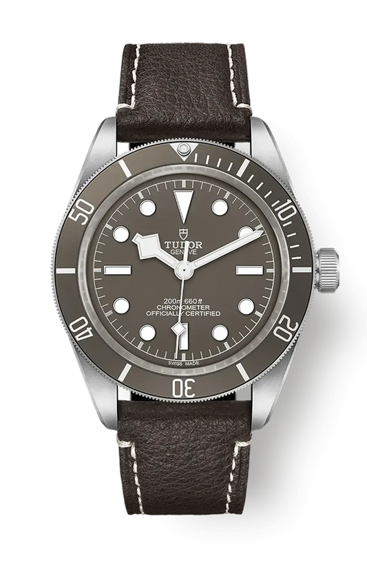 Tudor Black Bay 58 39mm m79010sg-0001