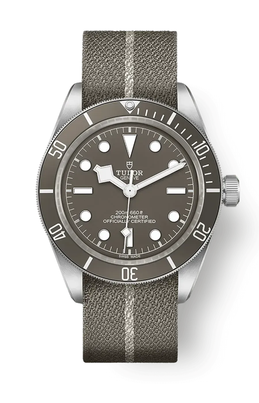 Tudor Black Bay 58 39mm m79010sg-0002