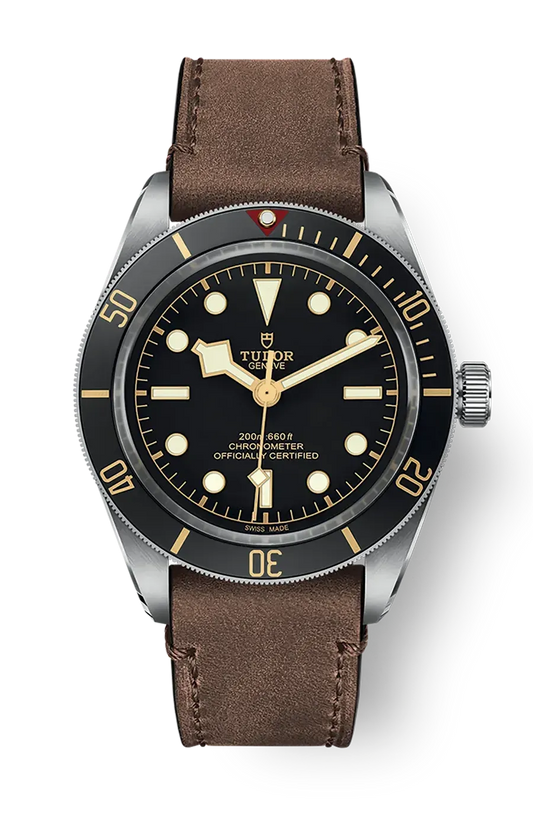 Tudor Black Bay 58 39mm m79030n-0002