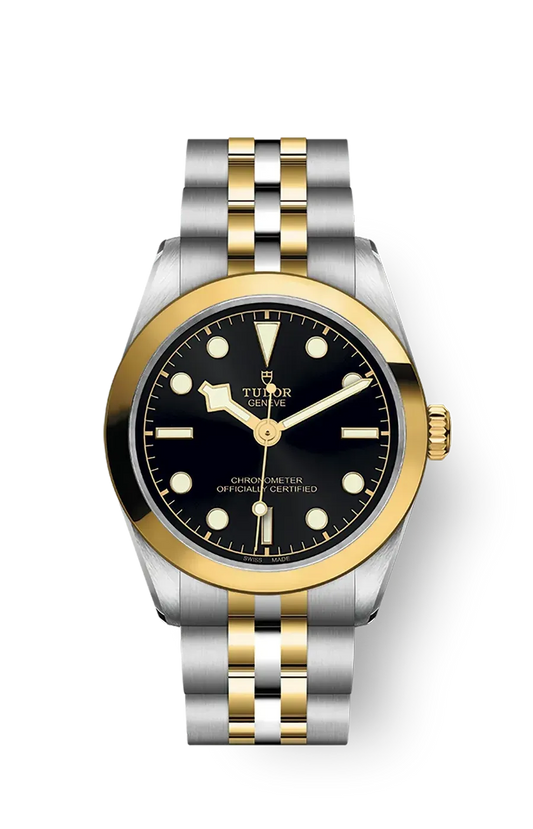 Tudor Black Bay 31 36 39 41 31mm m79603-0001