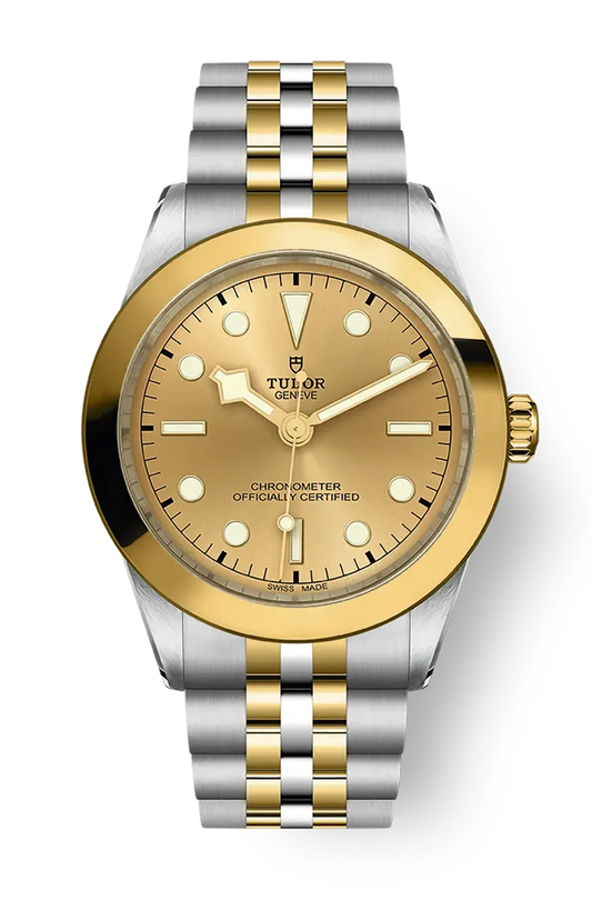 Tudor Black Bay 31 36 39 41 39mm m79663-0005