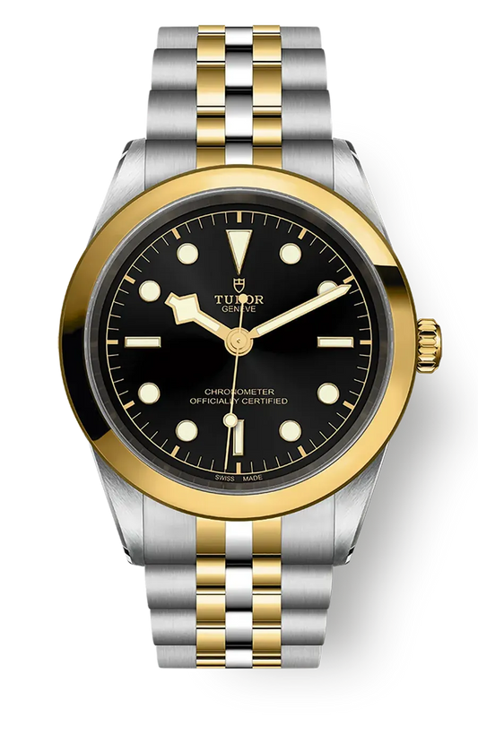 Tudor Black Bay 31 36 39 41 41mm m79683-0001