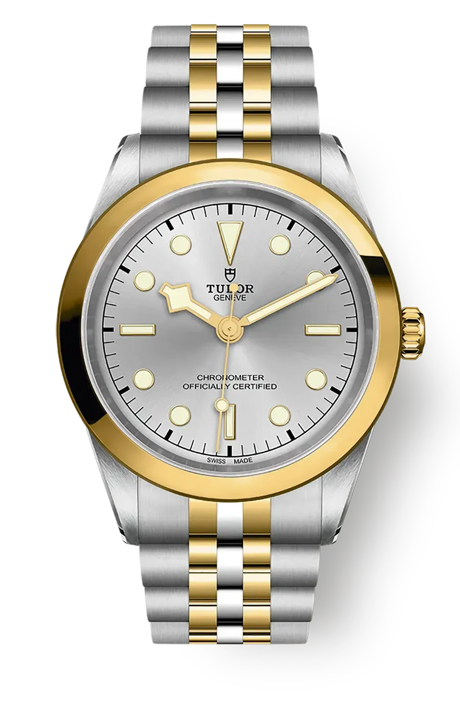 Tudor Black Bay 31 36 39 41 41mm m79683-0002