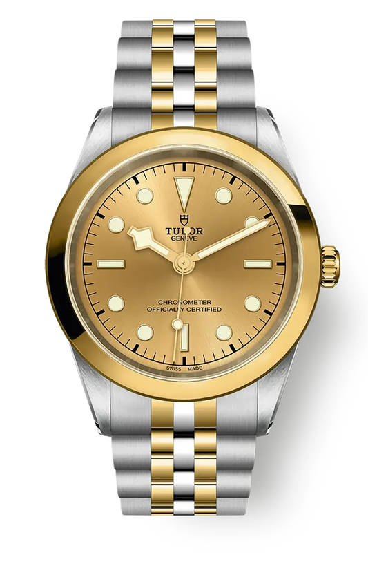 Tudor Black Bay 31 36 39 41 41mm m79683-0005