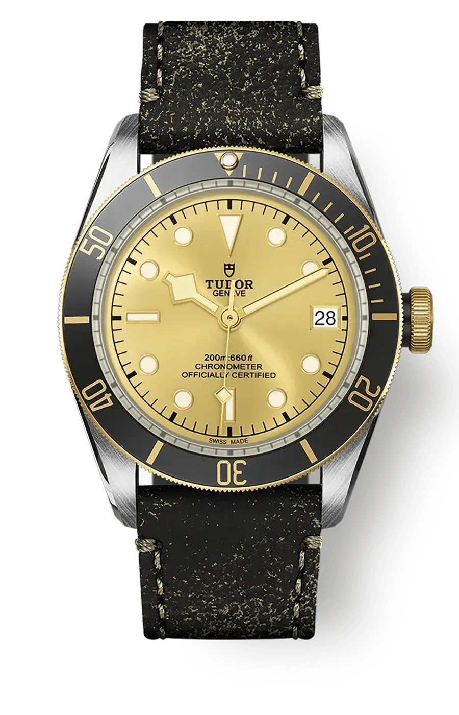 Tudor Black Bay 41mm m79733n-0003