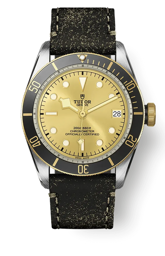 Tudor Black Bay 41mm m79733n-0003