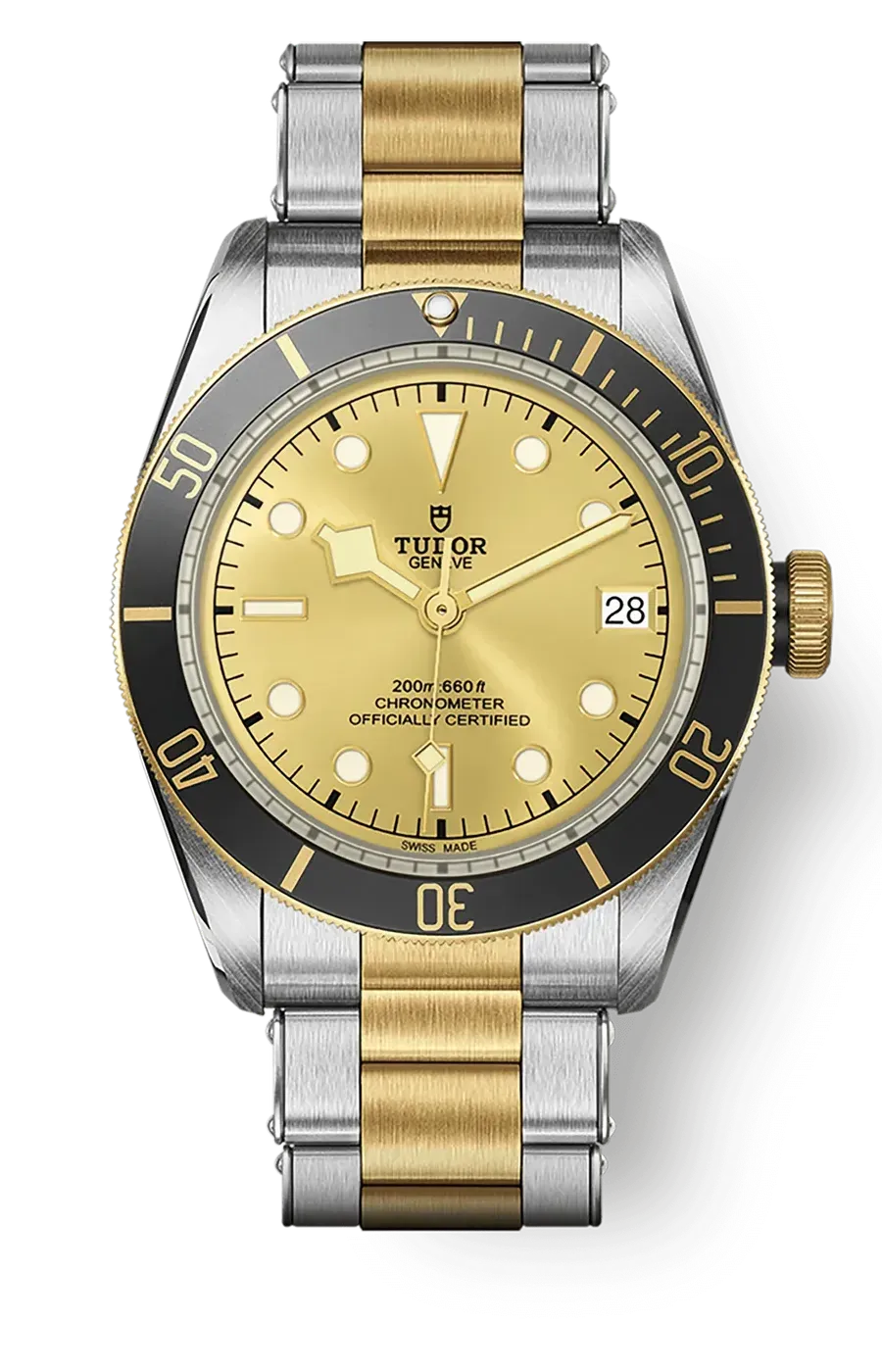 Tudor Black Bay 41mm m79733n-0004