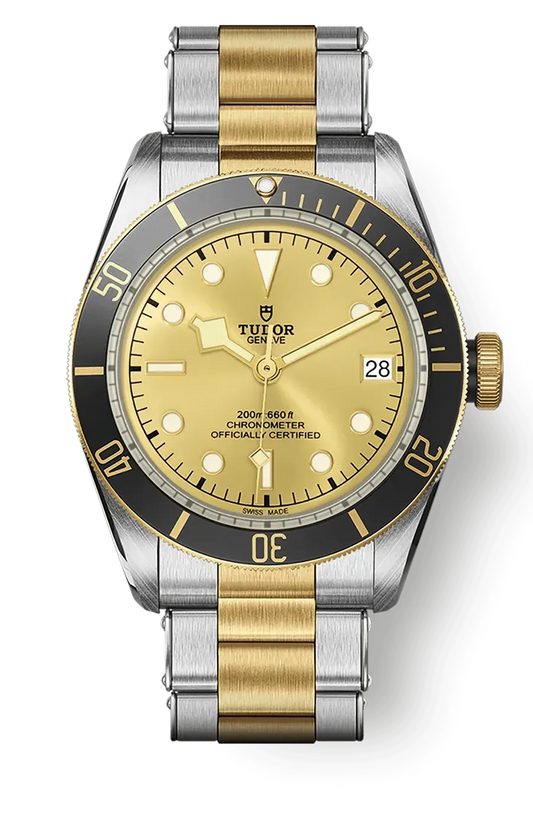 Tudor Black Bay 41mm m79733n-0004