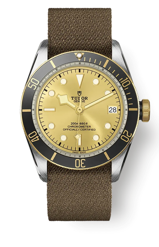 Tudor Black Bay 41mm m79733n-0006