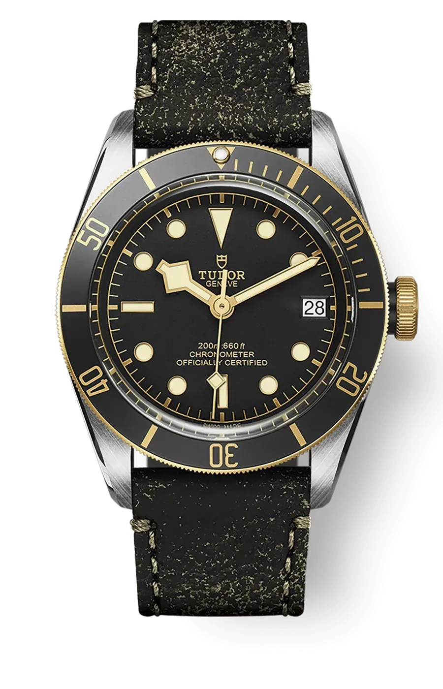 Tudor Black Bay 41mm m79733n-0007