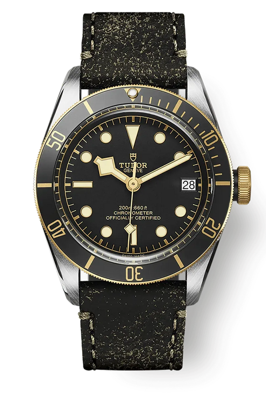 Tudor Black Bay 41mm m79733n-0007