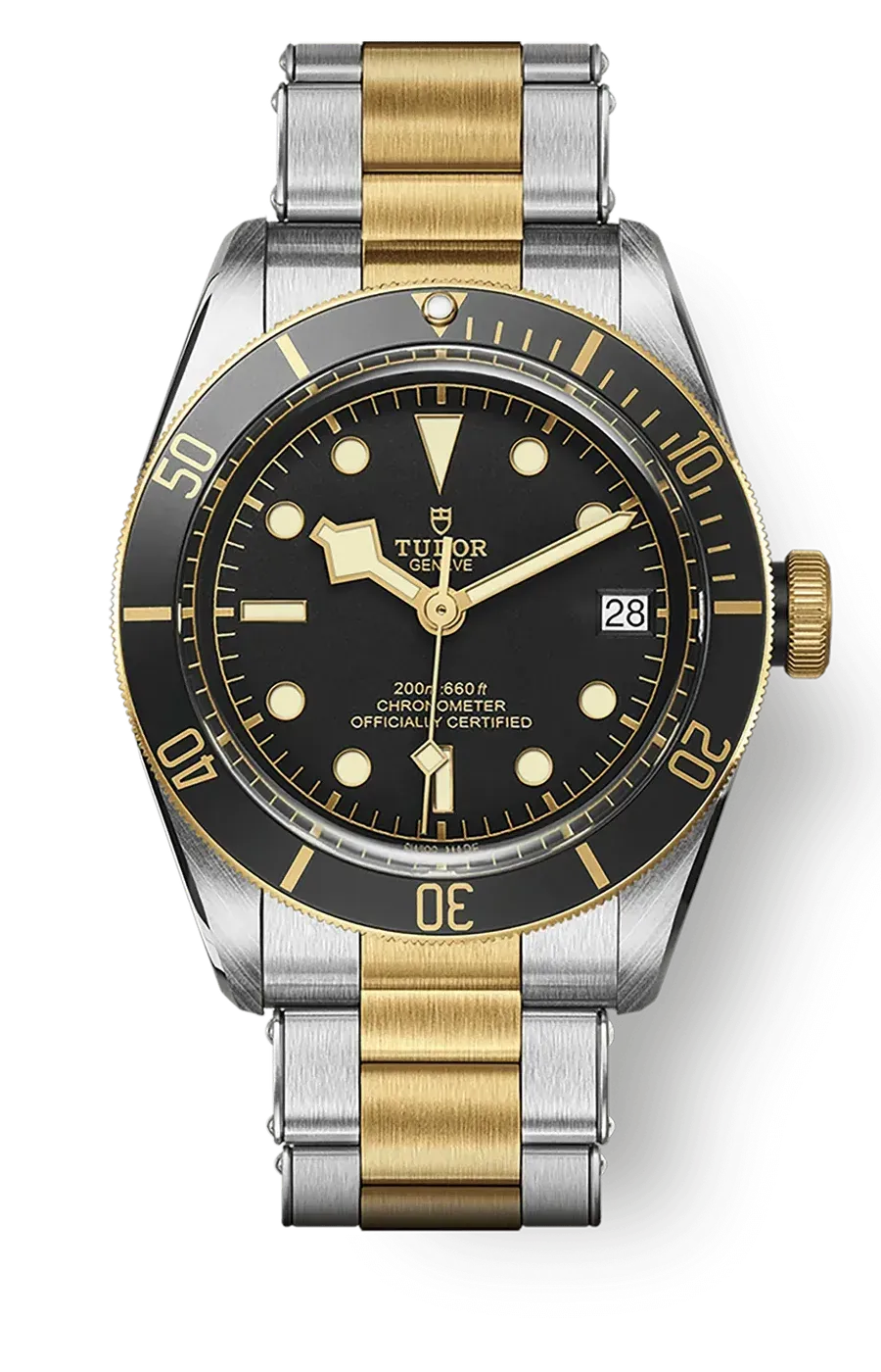 Tudor Black Bay 41mm m79733n-0008