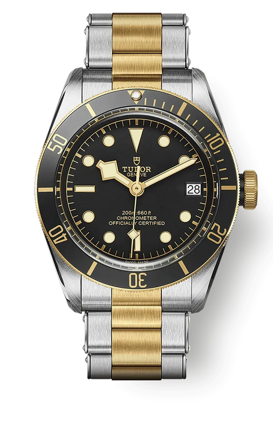 Tudor Black Bay 41mm m79733n-0008