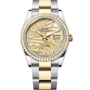 Rolex Datejust 36mm 126283rbr-0024