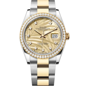 Rolex Datejust 36mm 126283rbr-0030