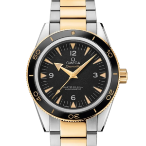 Omega Seamaster 41mm 23320412101002