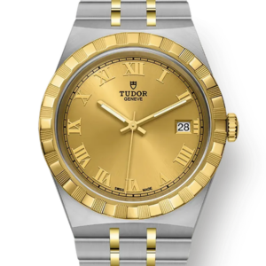 Tudor Tudor Royal 38mm m28503-0003