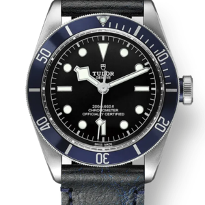 Tudor Black Bay 41mm m79230b-0007