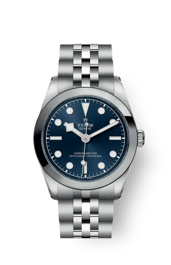 Tudor Black Bay 31 36 39 41 31mm m79600-0002