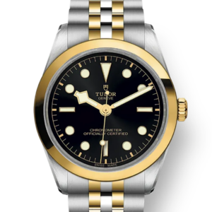 Tudor Black Bay 31 36 39 41 36mm m79643-0001