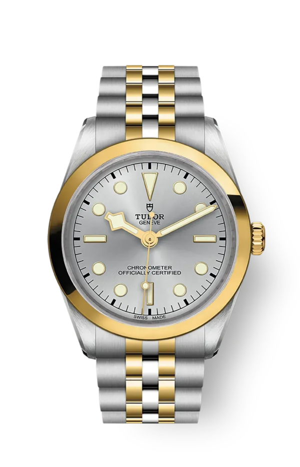 Tudor Black Bay 31 36 39 41 36mm m79643-0002