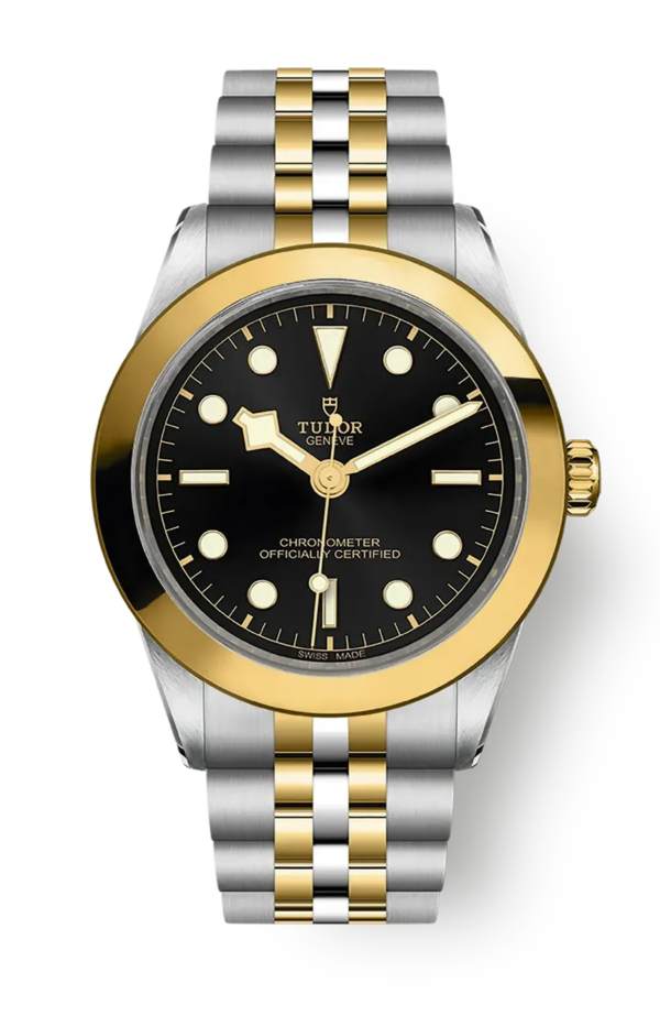 Tudor Black Bay 31 36 39 41 39mm m79663-0001