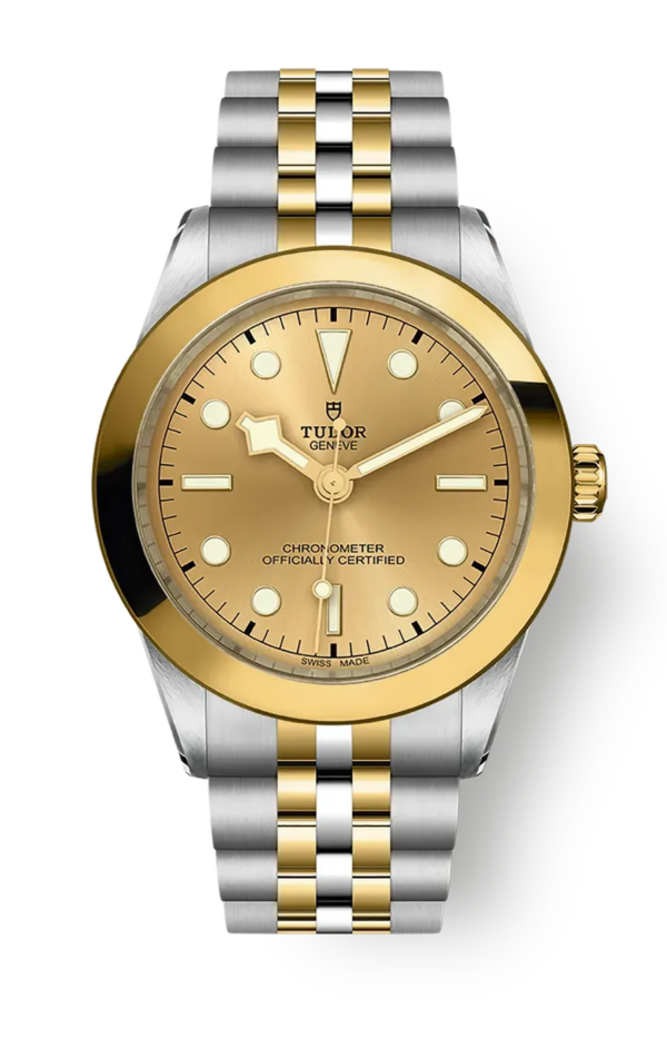 Tudor Black Bay 31 36 39 41 39mm m79663-0005