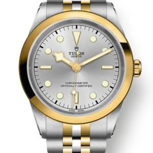 Tudor Black Bay 31 36 39 41 41mm m79683-0002