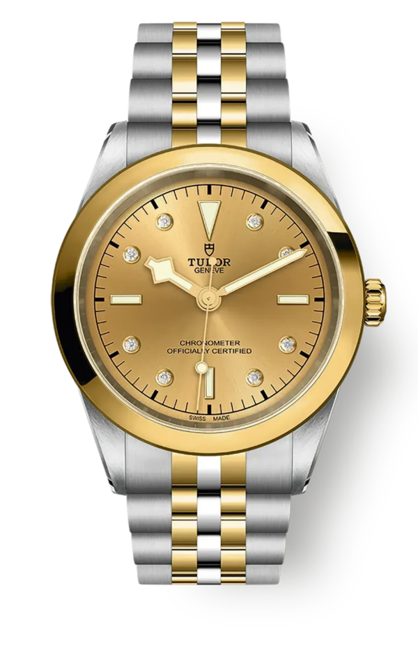 Tudor Black Bay 31 36 39 41 41mm m79683-0008