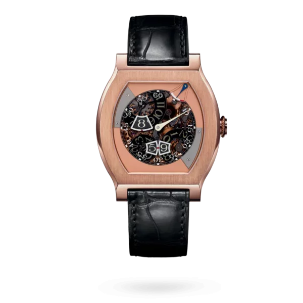 F.P. Journe VAGABONDAGE III 45.2mm VIII